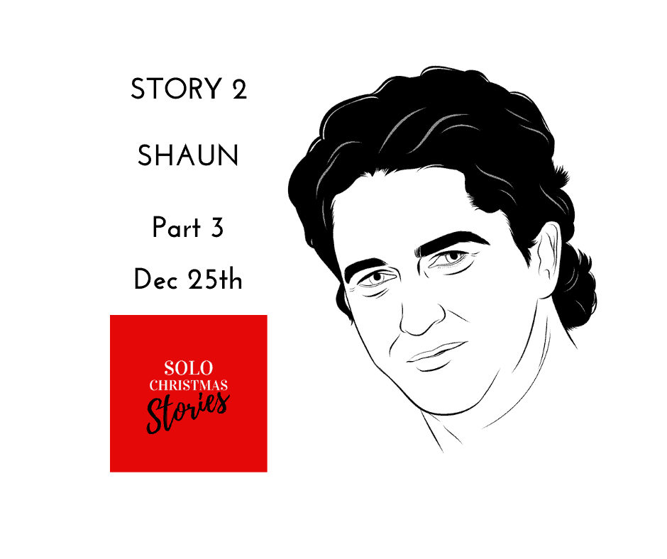 Shaun Part 3 Solo Christmas Short Stories