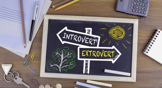 Introvert or Extrovert? Is Your Personality Type Suited to Living Alone?