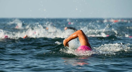 Diving Solo Into Open Water Swimming